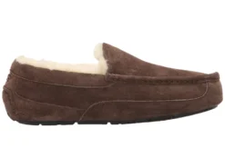 UGG Ascot 12 UGG Ascot -Ugg 81MNoVuMDXL