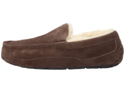 UGG Ascot 10 UGG Ascot -Ugg 81N2lJwFFWL